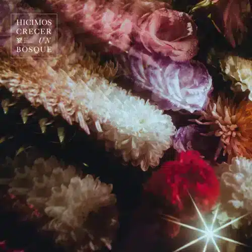 Fin del Mundo - Hicimos crecer un bosque (Black VNL)