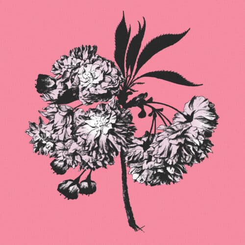 Battosai - Lágrimas y Milagros (White Marbled VNL)