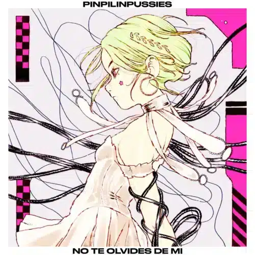 Pinpilinpussies NTODM single portada disco