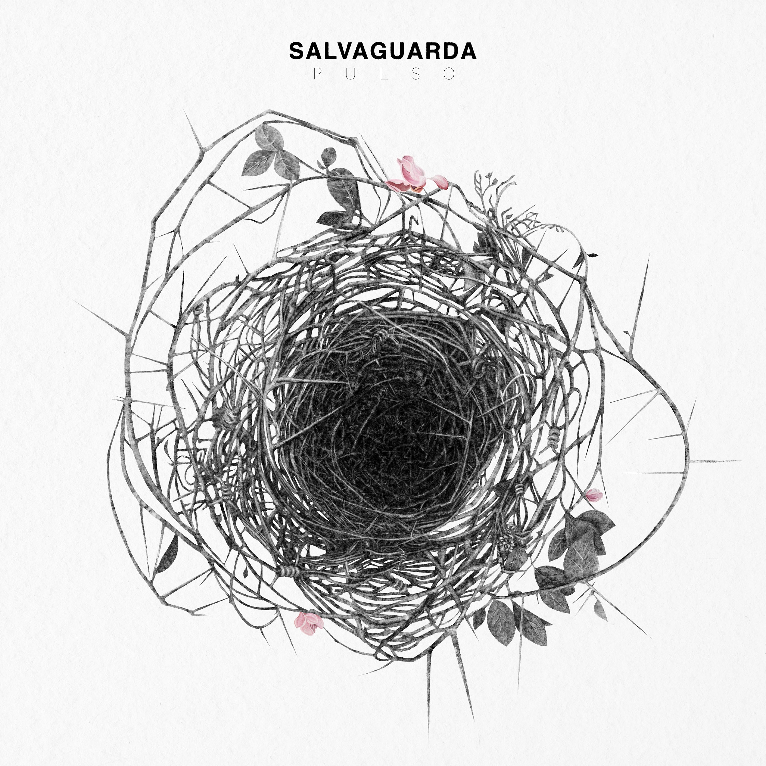 SALVAGUARDA portada pulso copia portada disco